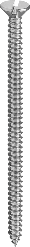 silver screw