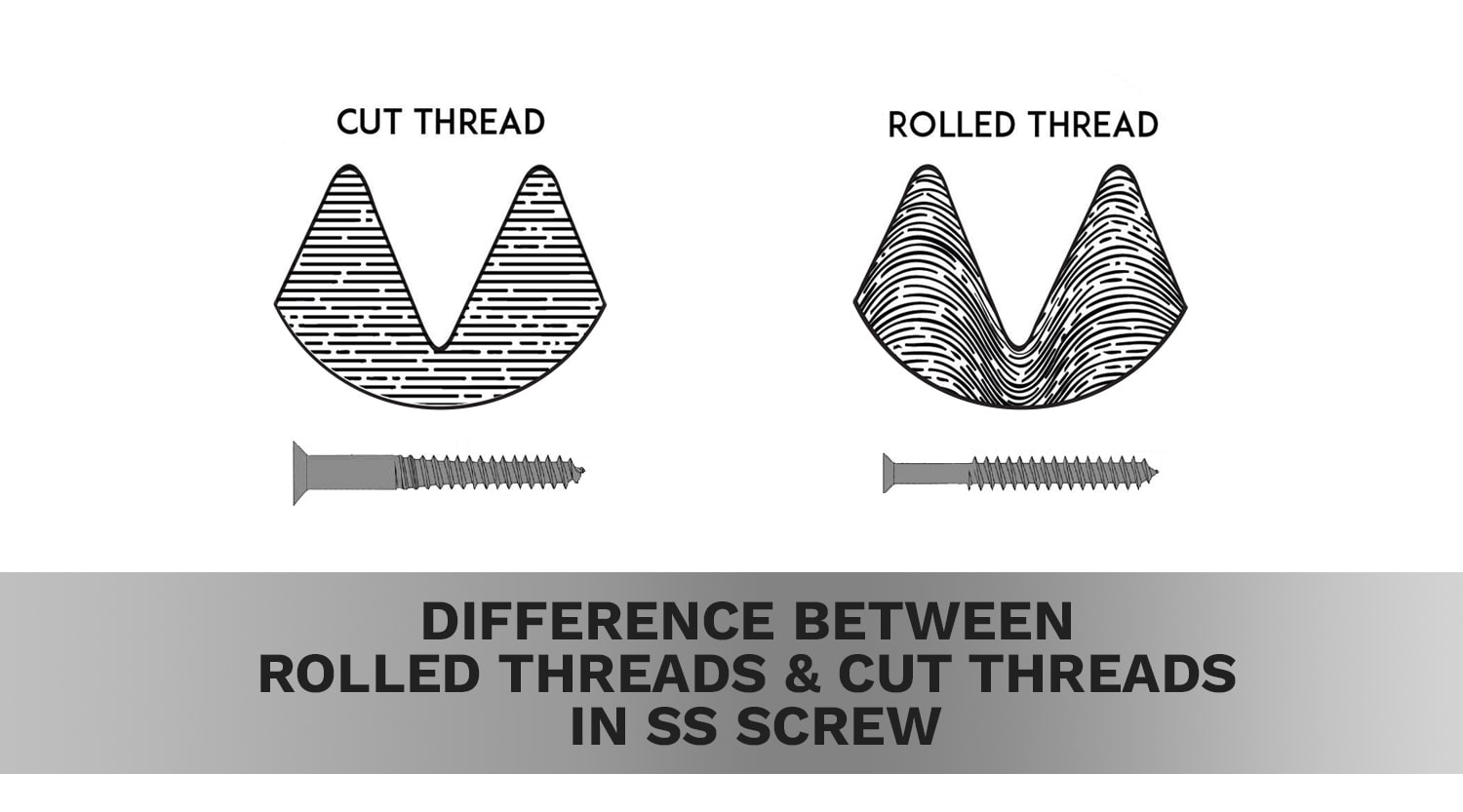 Understanding the Difference Between Rolled Threads and Cut Threads in SS Screw